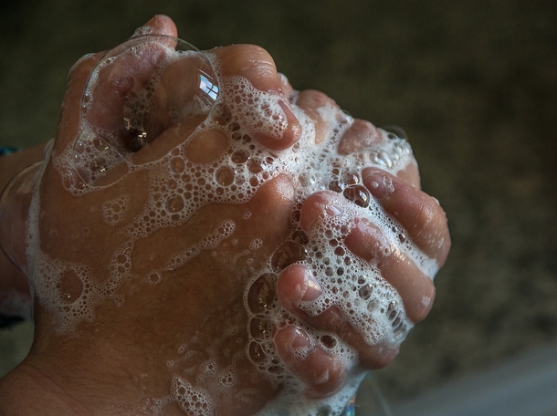 10 Simple, Yet Effective Home Remedies For Getting Rid Of Ants - picture 4
