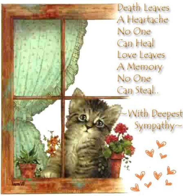 10 Sincere Condolence Quotes & Messages For Friends And Family - picture 7