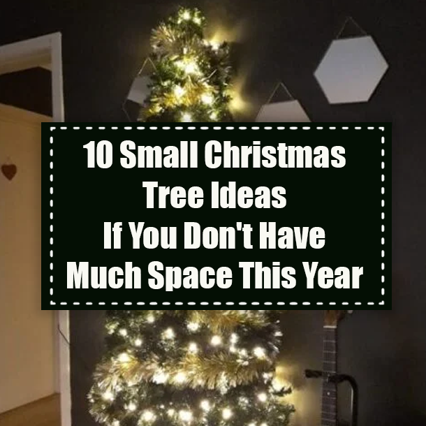 10 Small Christmas Tree Ideas If You Don't Have Much Space This Year