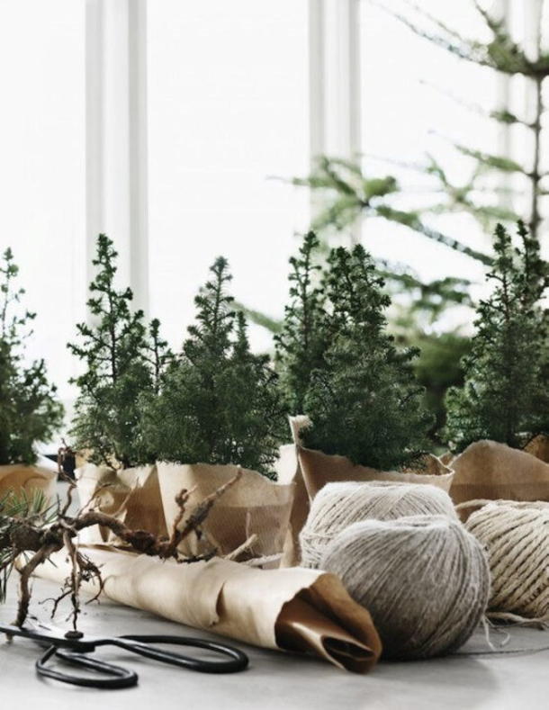 10 Small Christmas Tree Ideas If You Don't Have Much Space This Year - picture 10