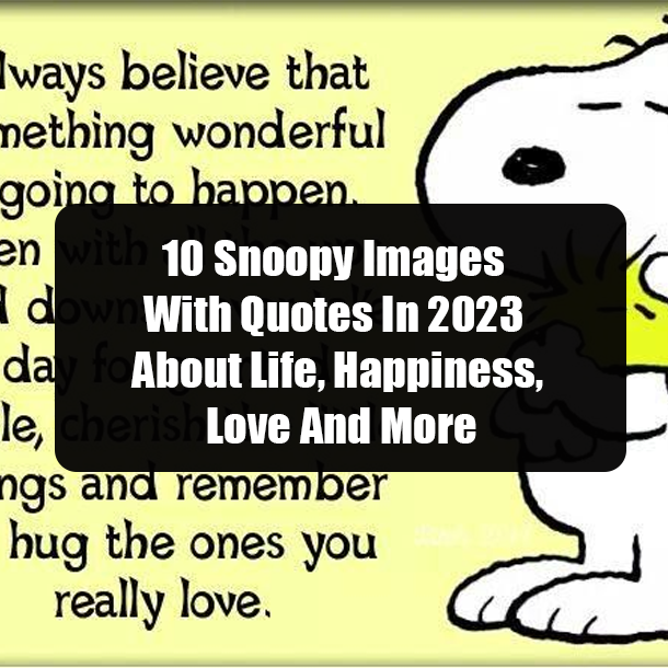10 Snoopy Images With Quotes In 2023 About Life, Happiness, Love And More