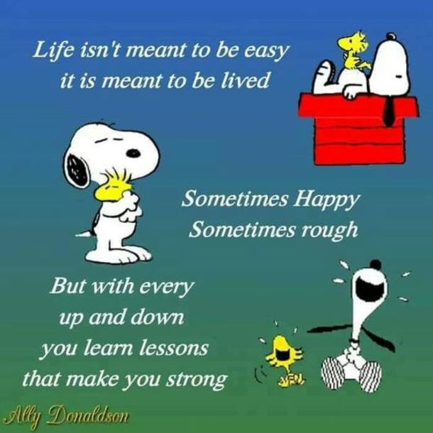 10 Snoopy Images With Quotes In 2023 About Life, Happiness, Love And More - picture 3