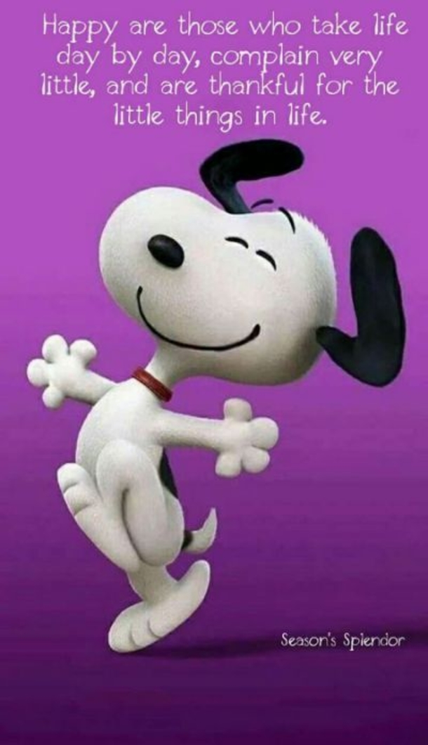 10 Snoopy Images With Quotes In 2023 About Life, Happiness, Love And More - picture 5