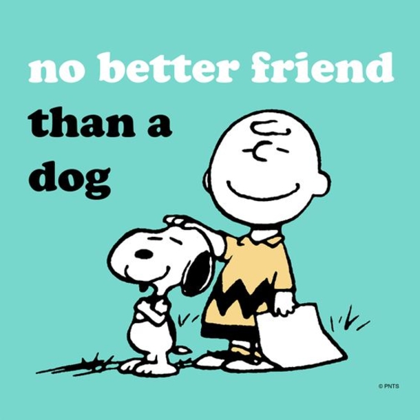 10 Snoopy & Peanuts Gang Quotes - picture 10