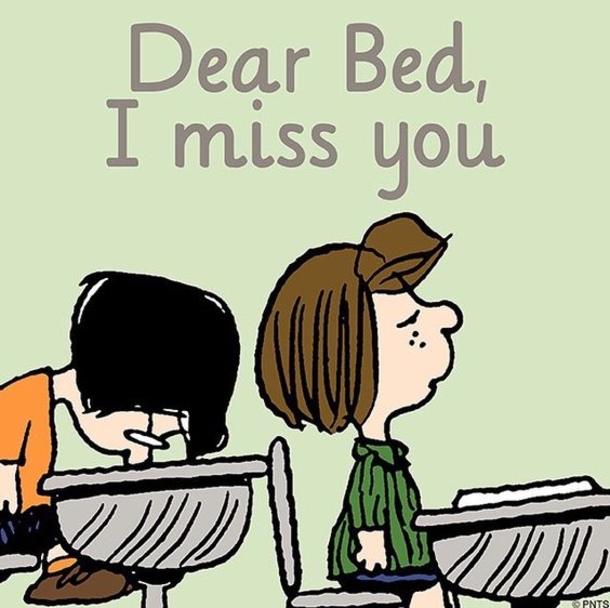10 Snoopy & Peanuts Gang Quotes - picture 12