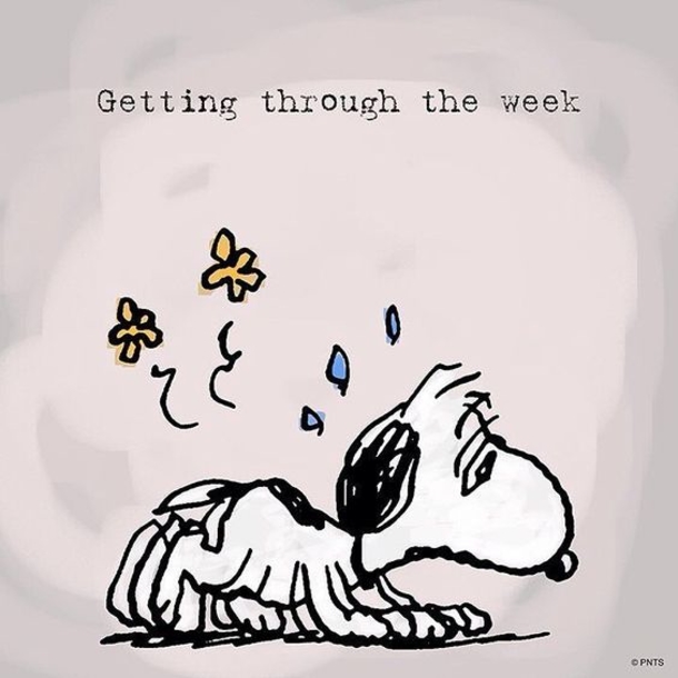 10 Snoopy & Peanuts Gang Quotes - picture 4