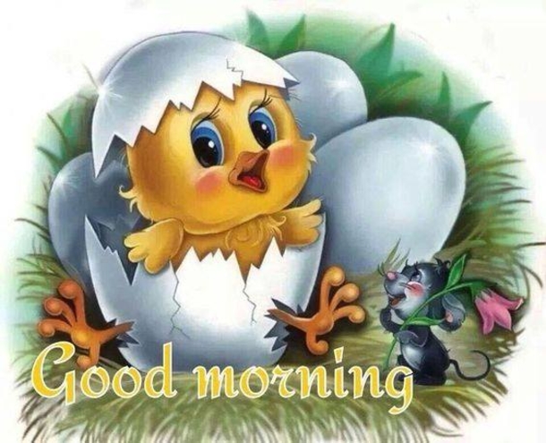 10 Special Good Morning Quotes To Start Your Day With Happiness - picture 2