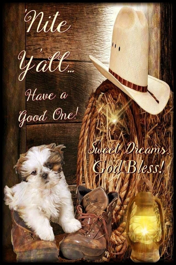 10 Special Good Night Images With Quotes To Bless The Night - picture 11