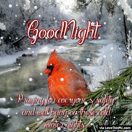 10 Special Good Night Images With Quotes To Bless The Night - picture 2