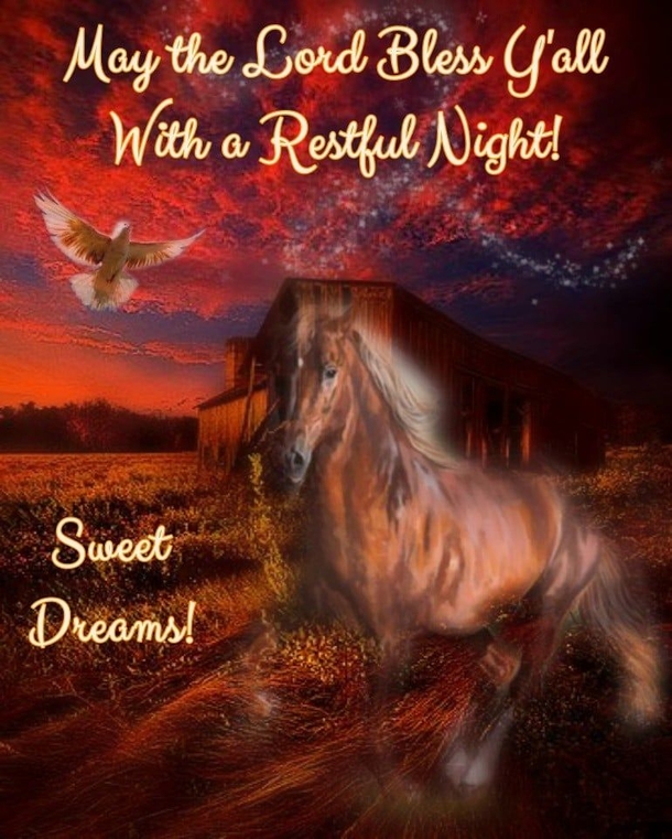10 Special Good Night Images With Quotes To Bless The Night - picture 7