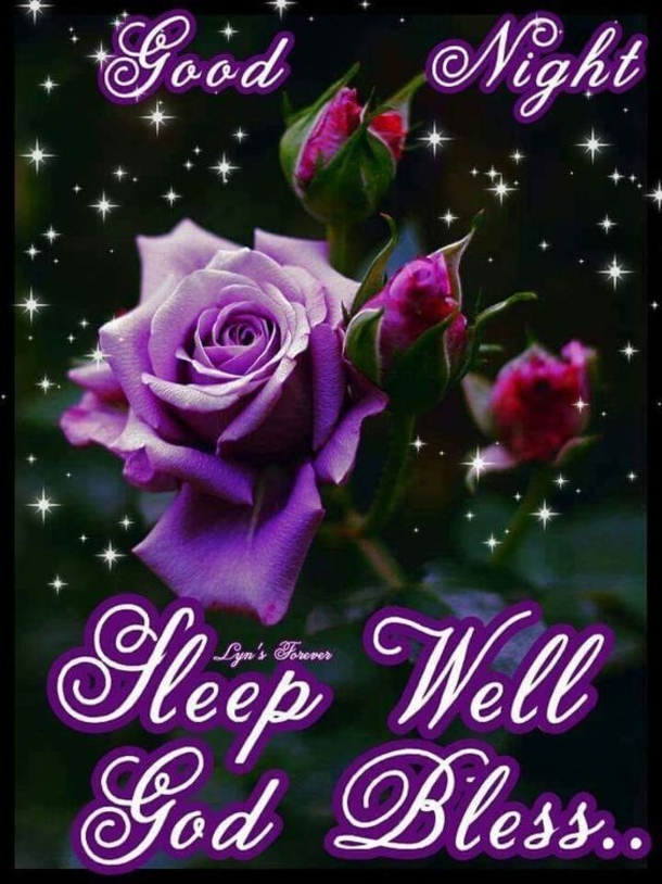 10 Special Good Night Images With Quotes To Bless The Night - picture 9