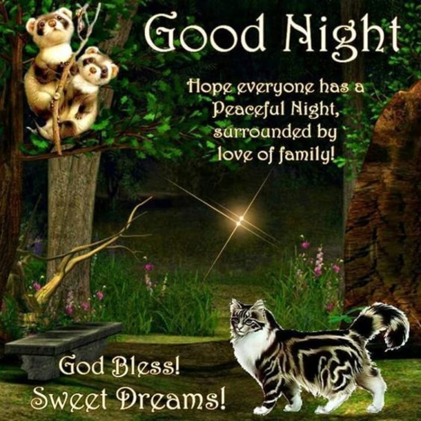 10 Special Good Night Pictures With Quotes - picture 2