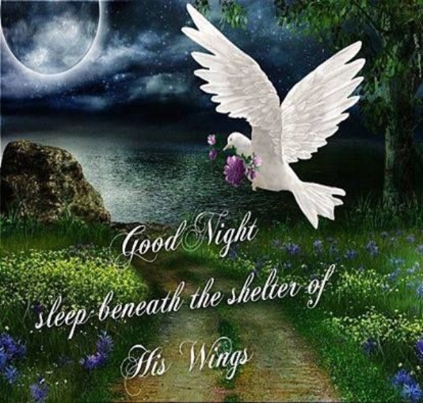 10 Special Good Night Pictures With Quotes - picture 3