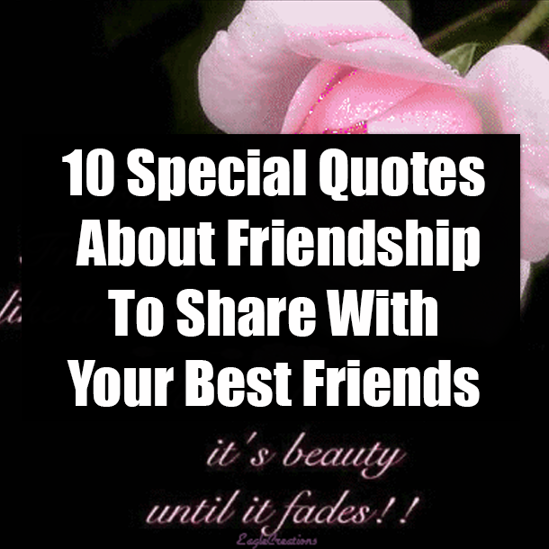 10 Special Quotes About Friendship To Share With Your Best Friends
