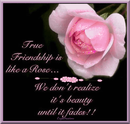 10 Special Quotes About Friendship To Share With Your Best Friends - picture 11