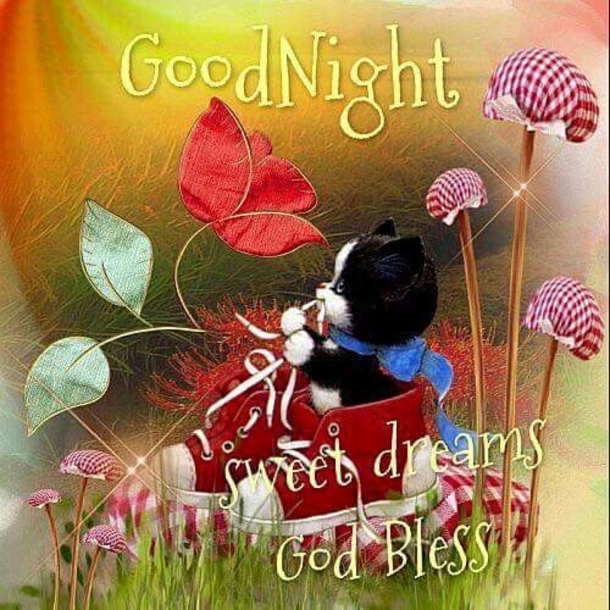 10 Special Sweet Dreams Images & Quotes - picture 10