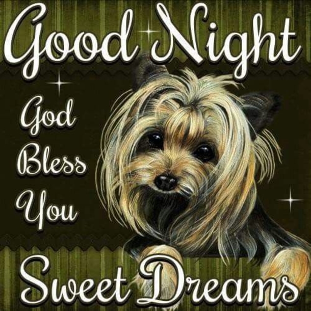 10 Special Sweet Dreams Images & Quotes - picture 5