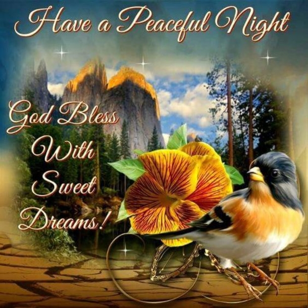 10 Special Sweet Dreams Images & Quotes - picture 8