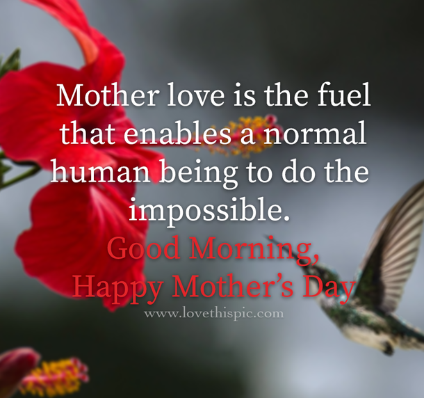 10 Special & Inspiring Good Morning Happy Mother's Day Quotes - picture 4