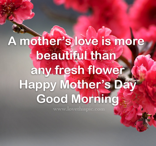 10 Special & Inspiring Good Morning Happy Mother's Day Quotes - picture 9