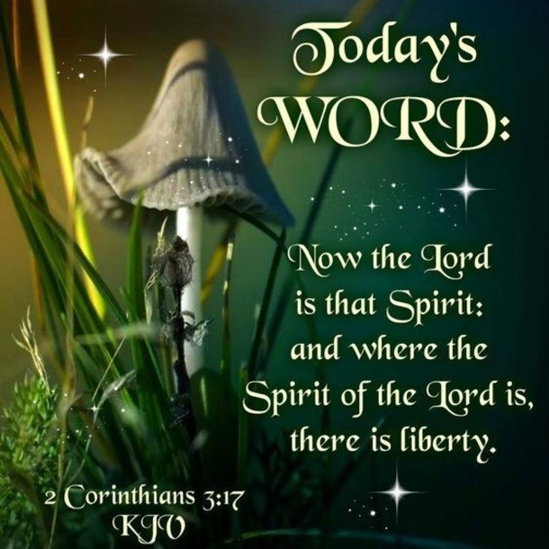 10 Spiritual & Inspirational Words Of The Day - picture 11