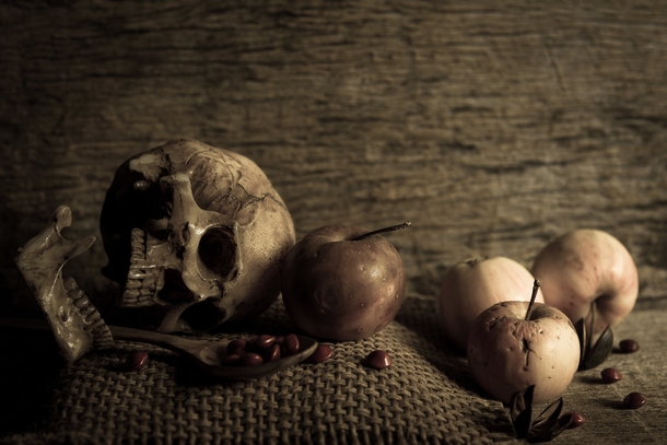 10 Spooky Halloween Photography Images - picture 4