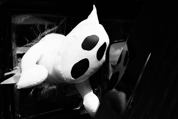 10 Spooky Halloween Photography Images - picture 5