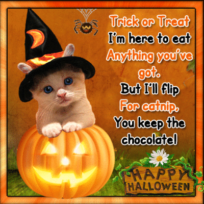 10 Spooky Happy Halloween Quotes & Gifs - picture 3