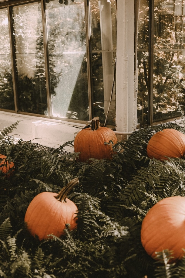 10 Spooky Signs Of Halloween - picture 14