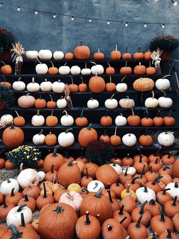 10 Spooky Signs Of Halloween - picture 6