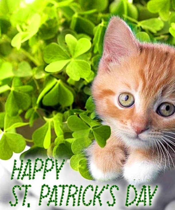 10 St. Patrick's Day Images, Quotes & Messages For 2024 - picture 9