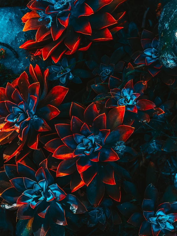 10+ Stunning Abstract Art Photography Images - picture 5