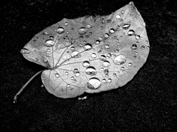 10+ Stunning Black And White Photography Images - picture 6