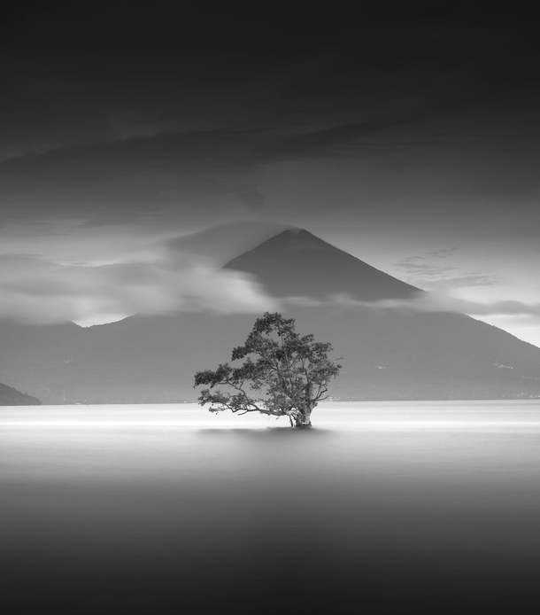 10+ Stunning Black And White Photography Images - picture 7