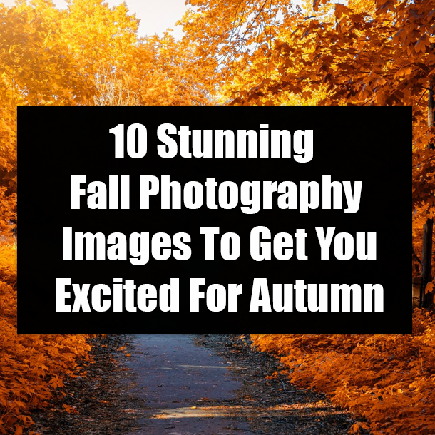 10 Stunning Fall Photography Images To Get You Excited For Autumn