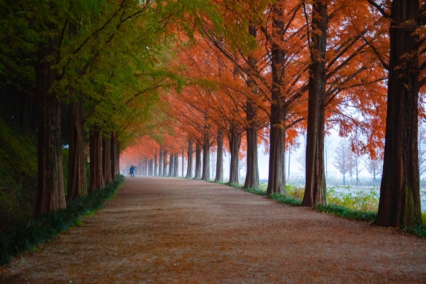 10 Stunning Fall Photography Images To Get You Excited For Autumn - picture 10