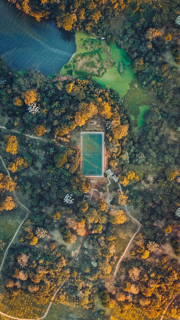 10 Stunning Fall Photography Images To Get You Excited For Autumn - picture 11