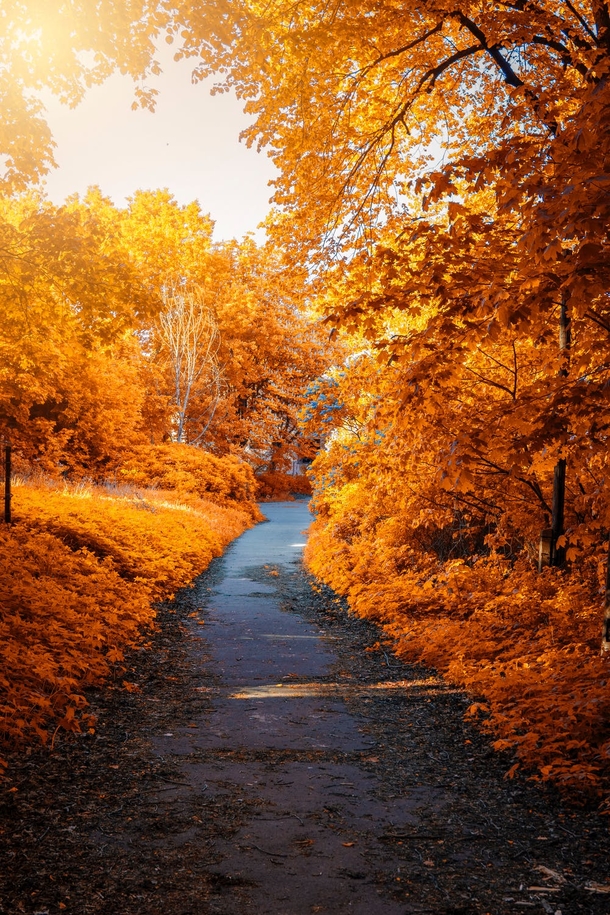 10 Stunning Fall Photography Images To Get You Excited For Autumn - picture 2