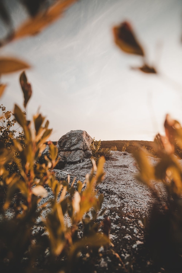 10 Stunning Fall Photography Images To Get You Excited For Autumn - picture 4