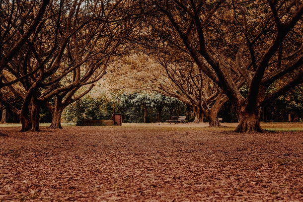 10 Stunning Fall Photography Images To Get You Excited For Autumn - picture 5