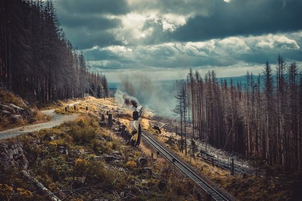 10 Stunning Fall Photography Images To Get You Excited For Autumn - picture 7