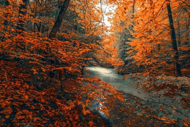 10 Stunning Fall Photography Images To Get You Excited For Autumn - picture 9