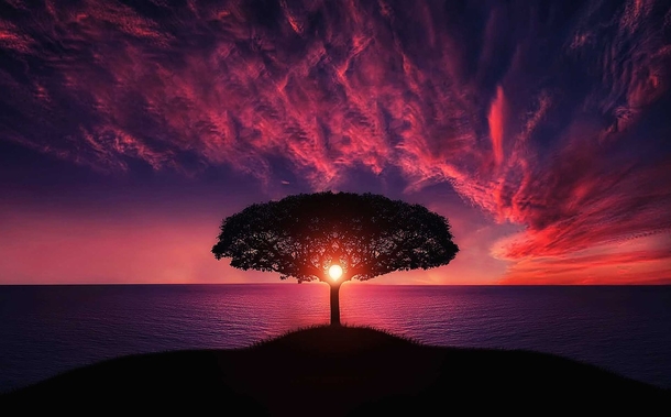 10+ Stunning Good Night / Good Evening Photography Pictures - picture 2