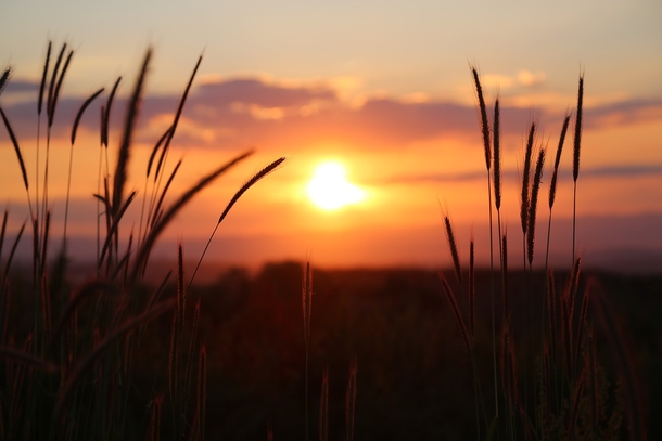 10+ Stunning Good Night / Good Evening Photography Pictures - picture 7