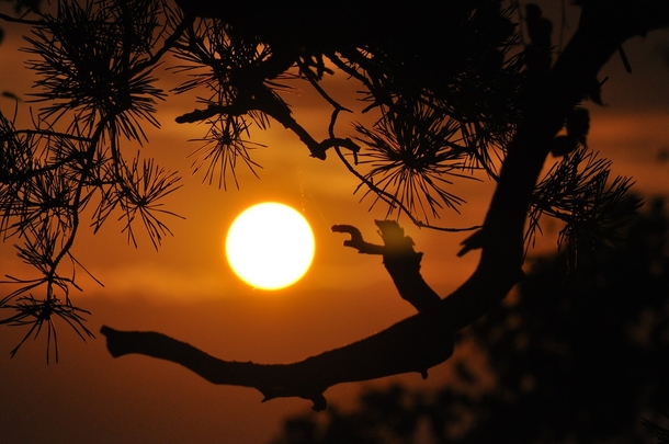 10+ Stunning Good Night / Good Evening Photography Pictures - picture 8
