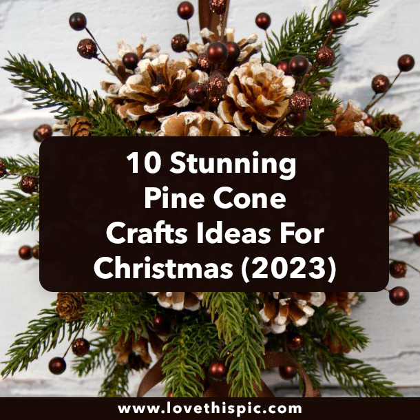 10 Stunning Pine Cone Crafts Ideas For Christmas (2023)