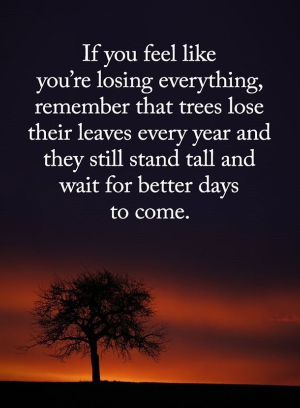 10 Successful Life Quotes To Motivate You - picture 7
