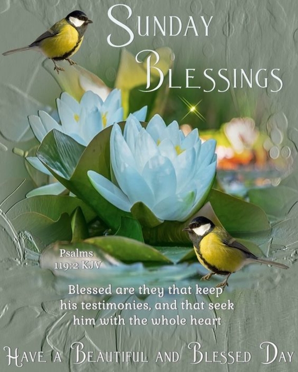 10 Sunday Blessing Images And Quotes - picture 9