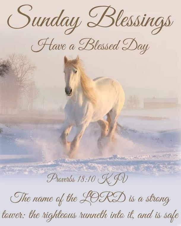 10 Sunday Blessings In 2023 For A Beautiful Day - picture 10