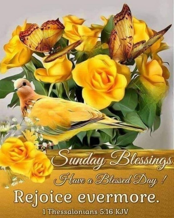 10 Sunday Blessings In 2023 For A Beautiful Day - picture 2